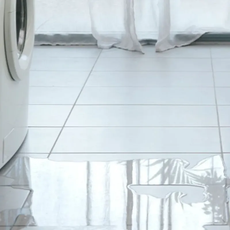 Appliance Leak Cleanup in Webster, NH