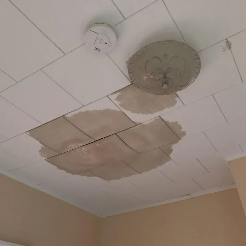 Ceiling Water Damage Repair in Webster, NH
