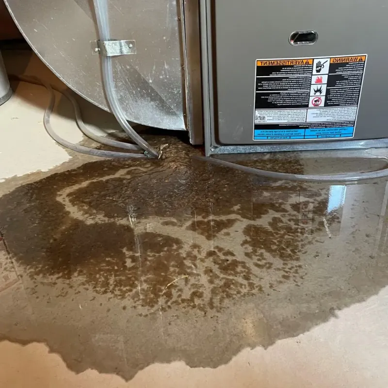 Pipe Burst and Leak Restoration in Webster, NH